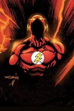 Flash 13